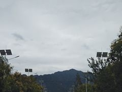 -沣峪口