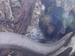 -上海海洋水族馆