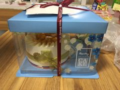 -维尔纳斯·生日蛋糕·动物奶油冰淇淋蛋糕(六里桥店)