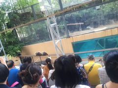 -清迈夜间动物园