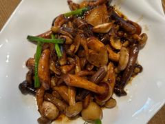XO酱爆珍菌-青梅酒肆PLUS(长白仙岛北路店)