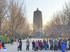 -玲珑塔公园