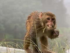 -重庆雨台山风景区
