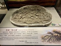 -辽宁古生物博物馆