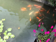 -绍兴饭店知遇楼(环山路店)