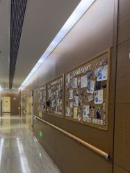 -上海首尔丽格医疗美容医院