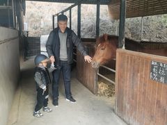 -枫露马术学院(藏书校区)