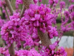 -白塘生态植物园