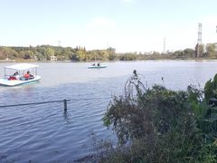 -昆山城市生态森林公园