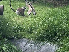 -宁波野生动物园