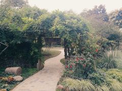 -后襄河公园