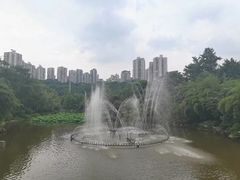 -龙头寺公园