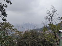 -南山植物园