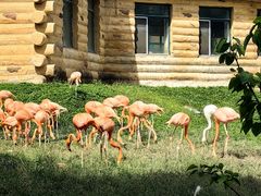 -哈尔滨北方森林动物园