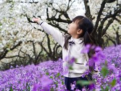 -江苏三台山国家森林公园