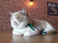 -UN CAFFE(五角场店)