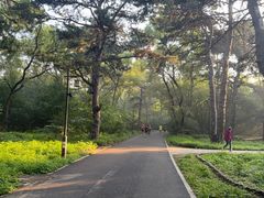 -北陵公园