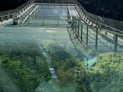 -百色大石围天坑群