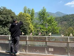-原乡芦茨咖啡