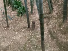 -故乡缘·香格里拉山庄(冷竹路店)
