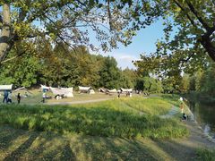 -上海共青森林公园