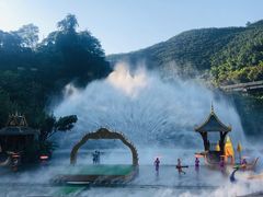 -西双版纳原始森林公园