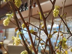 -一坐一忘云南菜(卓悦中心)