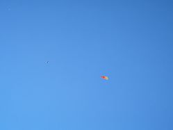 -孩子王(铁西万达店)