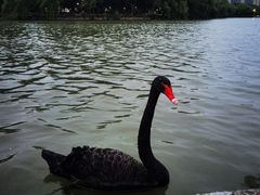 -东华大学(松江校区)