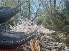 -龙华寺