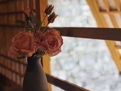 -晓马鸭店(新芜路店)