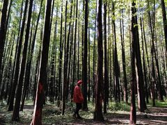 -山王坪喀斯特国家生态公园