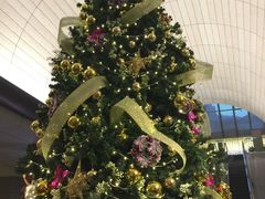 -中国银行（香港）(中银大厦分行)