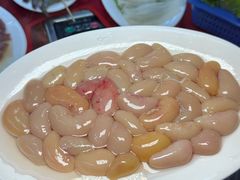 -花苑美食横琴生蚝火锅(拱北粤华路店)