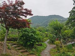 -塔川景区