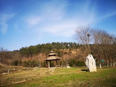 -棒棰岛宾馆景区