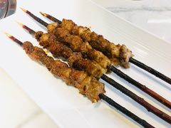 红柳枝大串羊肉-雅和睿景·商务宴·风味土窑鸡(花博汇店)