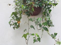 -山城巷传统风貌区