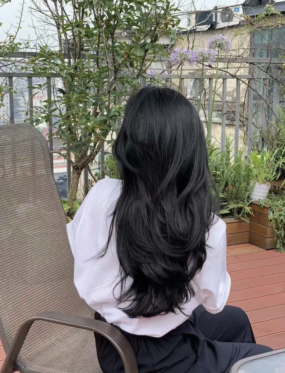 高层次发型 背影杀手