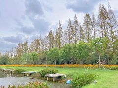 -上海长兴岛郊野公园