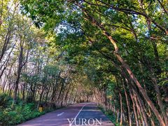 -艾溪湖湿地公园