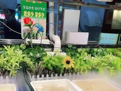 -巴犀烧烤(新崇光店)