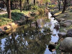 -陈家山荷花公园