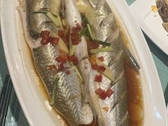 -西塘人家•黑金冠本地好店