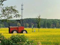 -嘉北郊野公园