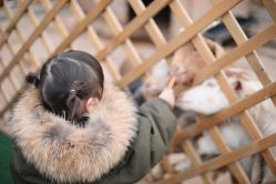 -萌宠亲子动物乐园(槐房万达店)