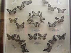 -陕西自然博物馆