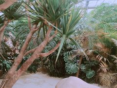 -南通洲际绿博园