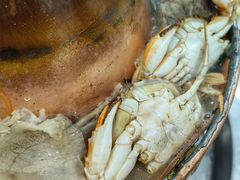 海鲜特色锅-山海关清和浑锅店