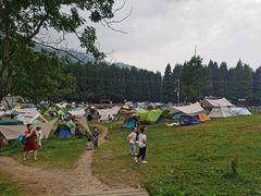 -武陵山森林公园
